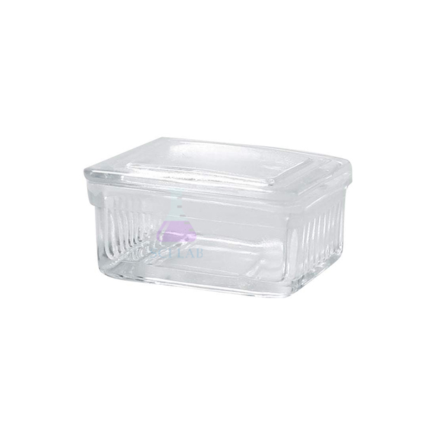 Staining Jar Clear Glass