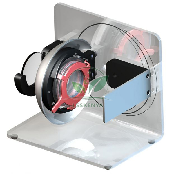 Functional Eye Model, Non-Liquid