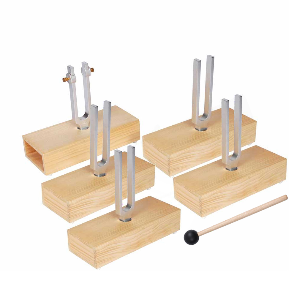 Tuning Fork Set