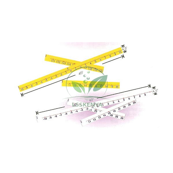 Number Lines