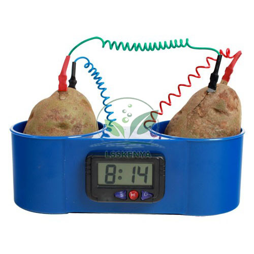 Clock Bio-Electrolytic