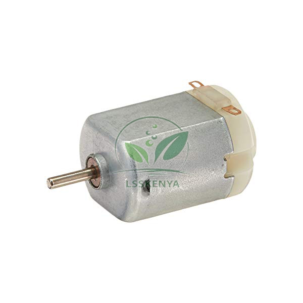 Electric Motor