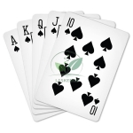 Playing Cards